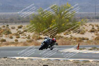 media/Apr-10-2022-SoCal Trackdays (Sun) [[f104b12566]]/Turn 5 Tree of Life (1040am)/